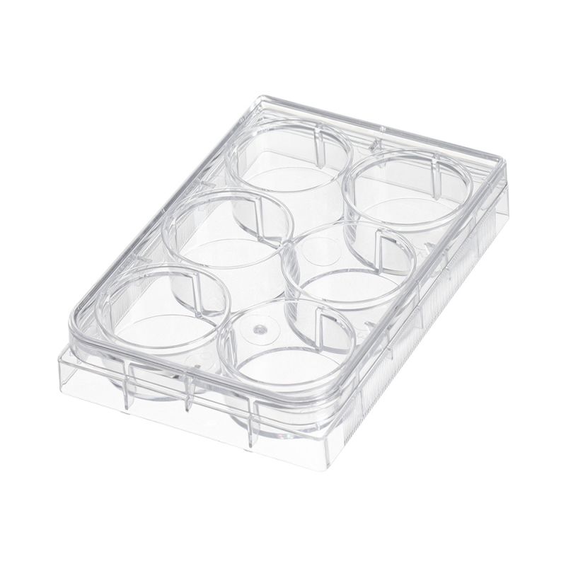 corning cell culture plate