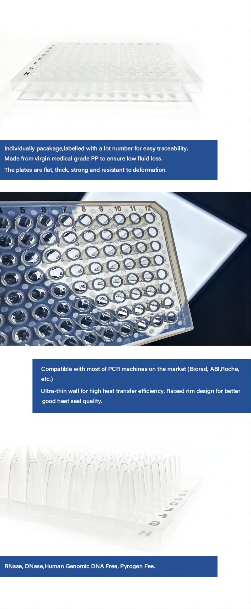 96well pcr plate