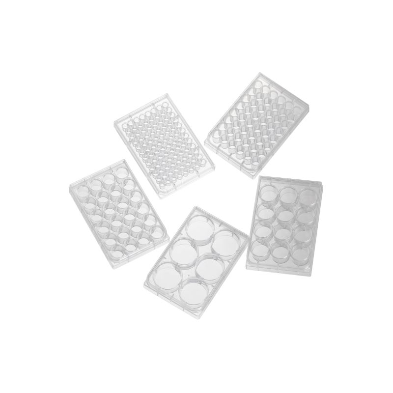 tissue cell culture plate
